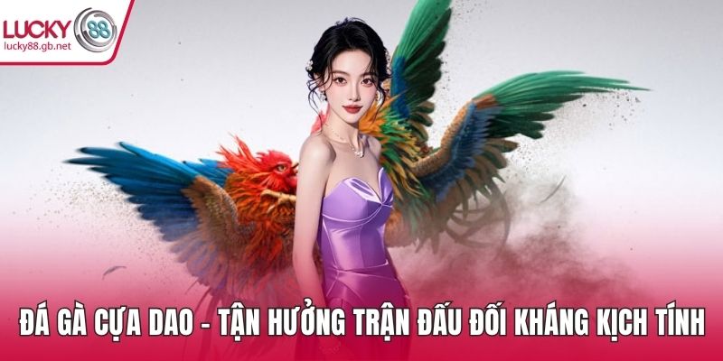 Đá Gà Cựa Dao – Tận Hưởng Trận Đấu Đối Kháng Kịch Tính Đá gà cựa dao